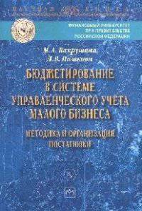 Бюджетирование в системе управленческого учета малого бизнеса: методика и организация постановки: Монография / М.А. Вахрушина, Л.В. Пашкова. - (Научная книга).