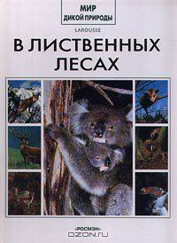 В лиственных лесах
