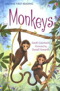 Monkeys: Level 3
