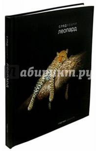 След кошки. Леопард