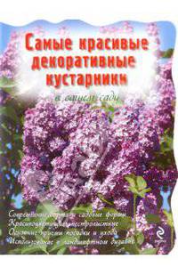 Самые красивые декоративные кустарники в вашем саду