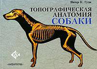 Топографическая анатомия собаки. Учебно-справочное пособие