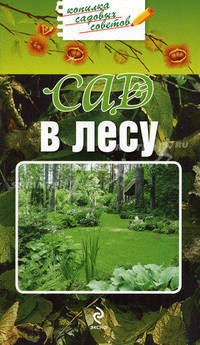 Сад в лесу