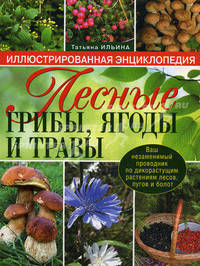 Лесные грибы, ягоды и травы. Иллюстрированная энциклопедия