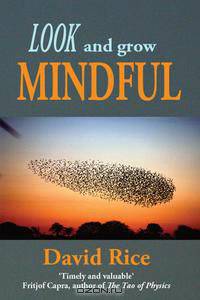 Look and Grow Mindful