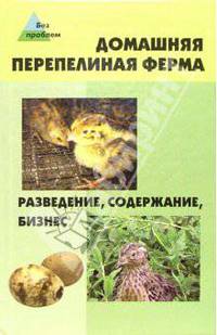 Домашняя перепелиная ферма: разведение, содержание, бизнес
