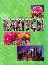 Кактусы