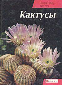 Кактусы