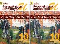 Русский язык и литература. Литература. 10 класс. В 2-х частях. Учебник. Базовый уровень. ФГОС (количество томов: 2)