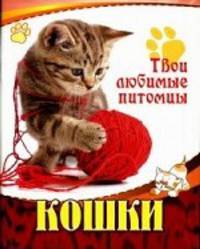 Кошки(твои любимые питомцы)