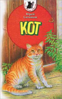 Кот