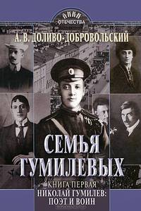 Семья Гумилевых. Книга 1. Николай Гумилев. Поэт и воин