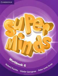 Super Minds: Level 6: Workbook