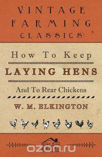 How to Keep Laying Hens and to Rear Chickens