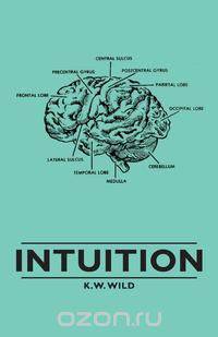 Intuition
