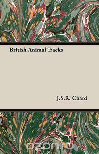 British Animal Tracks