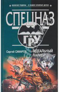 Идеальный калибр: роман