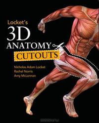 Locket’s 3D Anatomy Cutouts