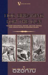 Dog Breaking for the Gun