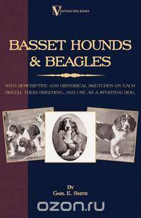 Basset Hounds & Beagles