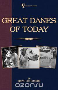 Great Danes of Today