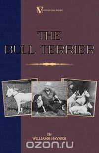 The Bull Terrier