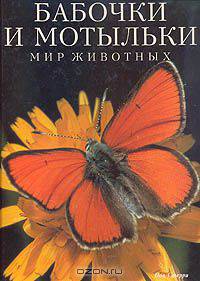 Бабочки и мотыльки