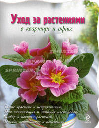 Уход за растениями в квартире и офисе