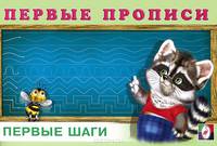 Первые шаги