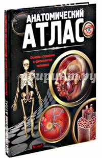 Анатомический атлас. Основы строения и физиологии человека