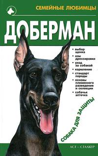 Доберман