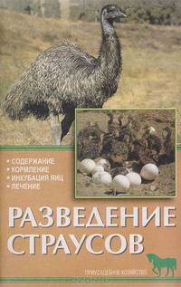 Разведение страусов