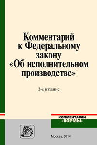 Комментарий к Федеральному закону "Об исполнительном производстве"
