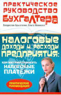 Налоговые доходы и расходы предприятия: как минимизировать налоговые платежи