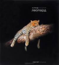 След кошки. Леопард