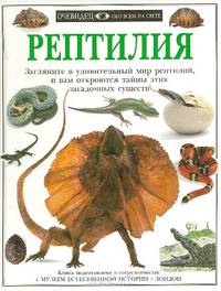Рептилия