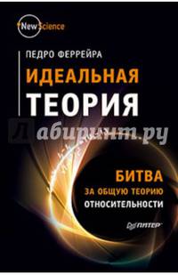 Идеальная теория. Битва за общую теорию относительности