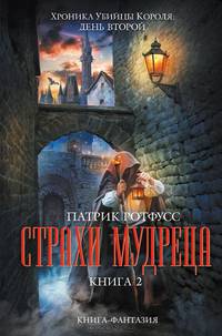 Страхи мудреца. Книга 2