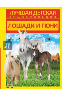 Лошади и пони