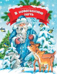 В новогоднюю ночь