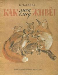 Как лиса в лесу живет