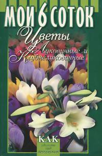 Цветы луковичные и клубнелуковичные