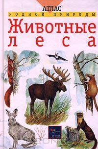 Животные леса