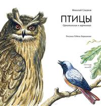 Птицы. Орнитология в картинках