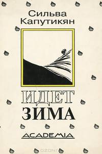 Идет зима