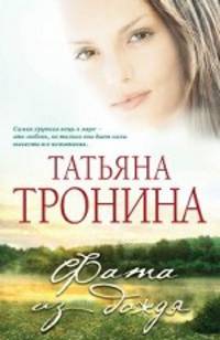 Фата из дождя: роман