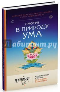 Смотри в природу ума. Классический учебник по практике Махамудры