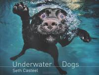 Underwater Dogs