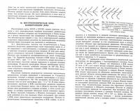 Метеорология и климатология: Учебник. - 7-е изд. (Серия 'Классический университетский учебник')