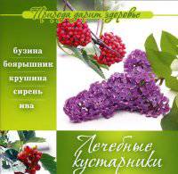 Природа дарит здоровье. Лечебные кустарники